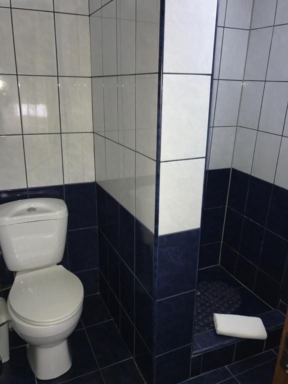 فندق Târgu Jiuفي  Casa Gorjeneasca المظهر الخارجي الصورة